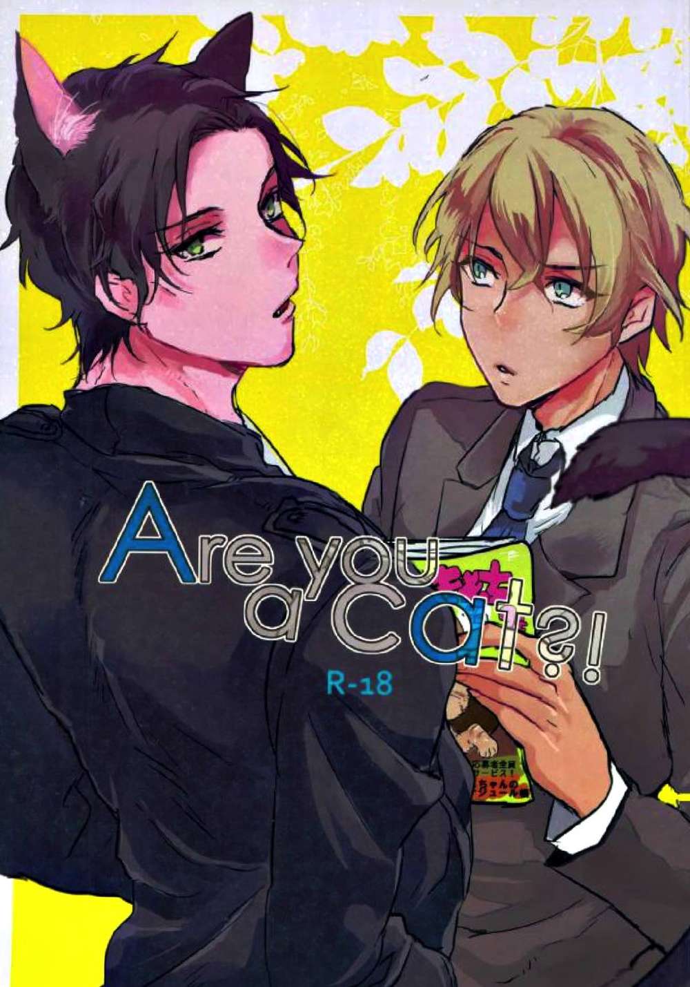 Case-Closed - Are You A Cat Detective Conan Akai Furuya
