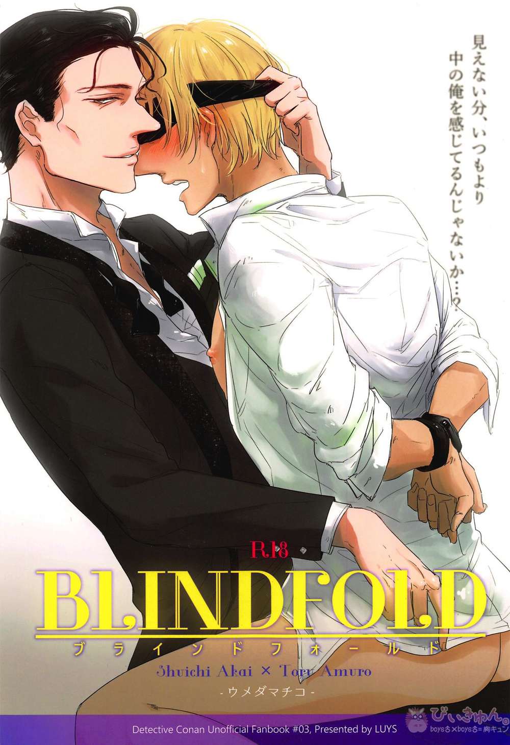 Case-Closed - Blindfold Conan Akai X Furuya