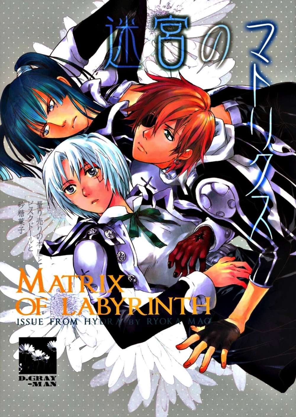 D-Gray-Man - Labyrinth Matrix
