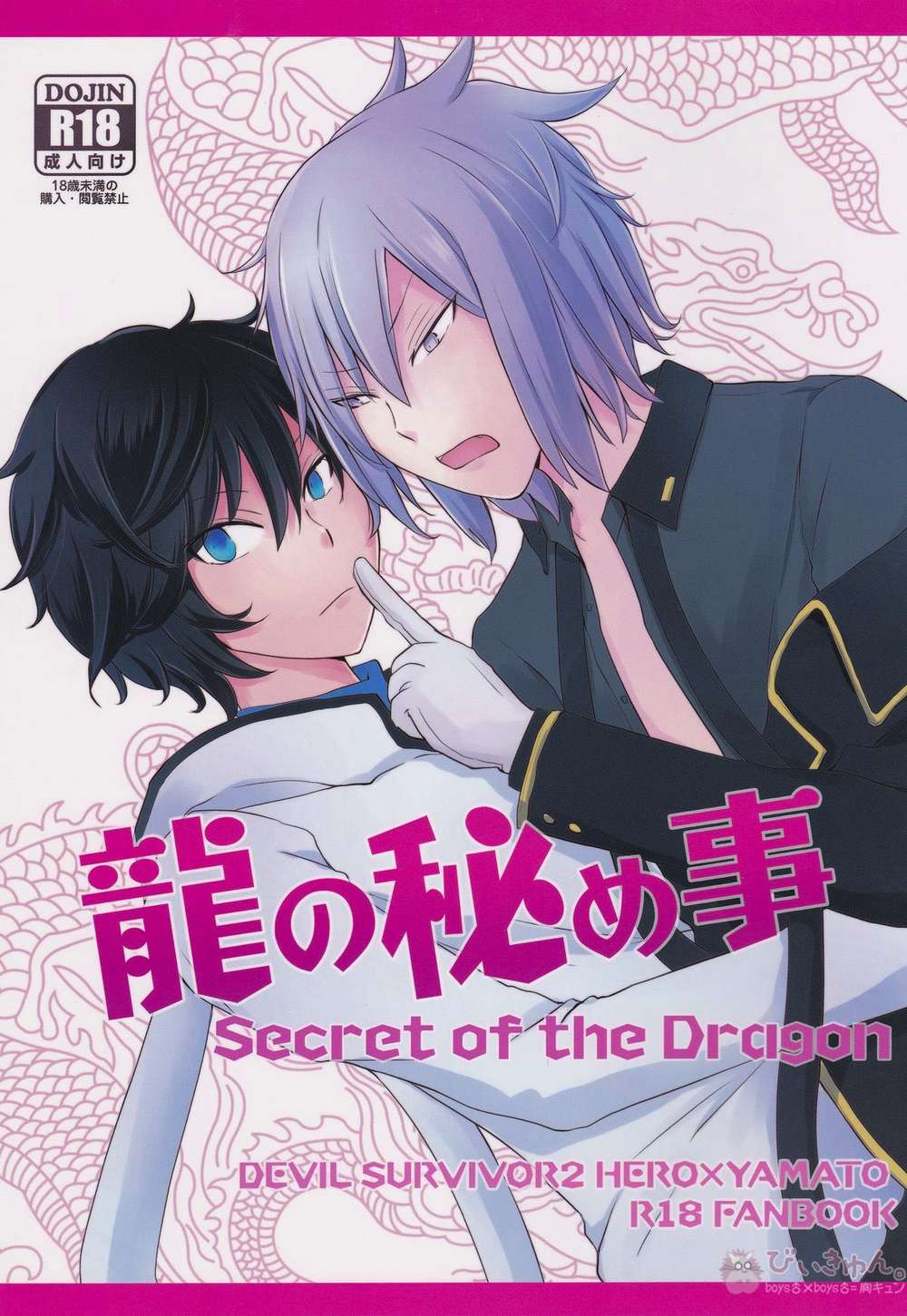Devil-Survivor - Dragon Secret Devil Survivor