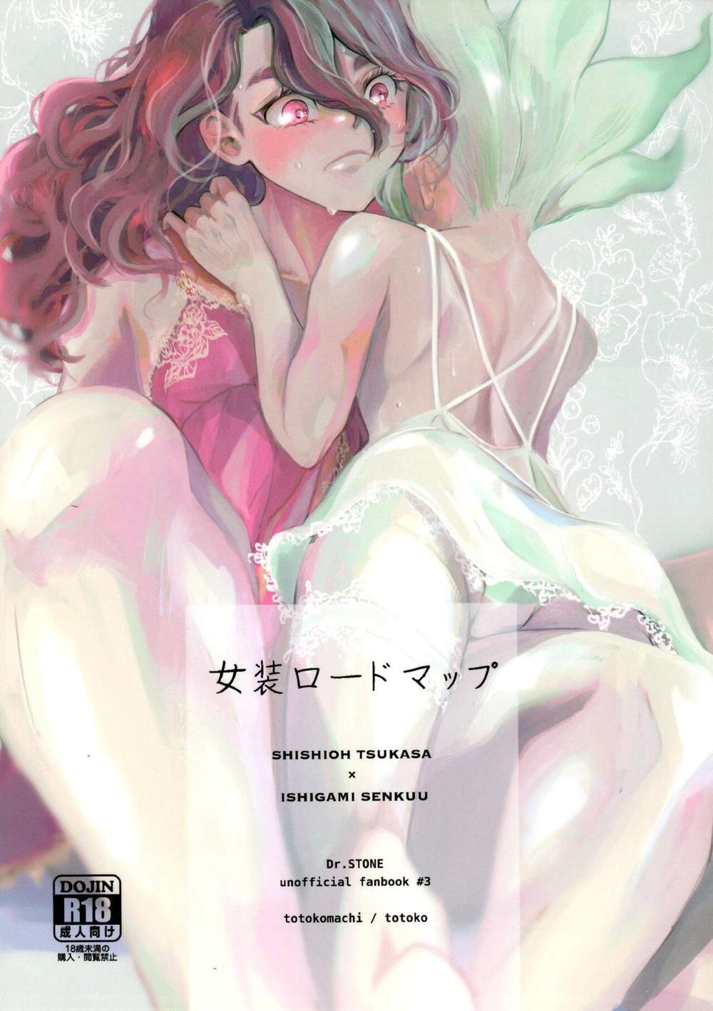 Dr-Stone - Drstone Tsukasa Senku Crossdressing Roadmap