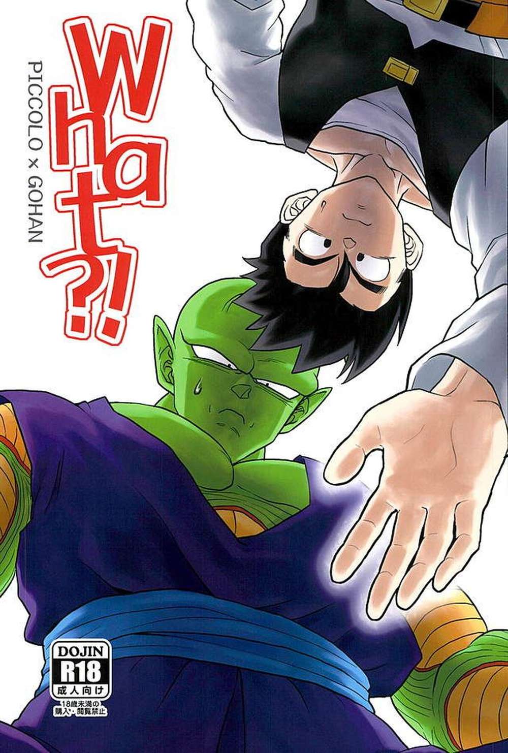 Dragon-Ball - What Dragon Ball Piccolo X Gohan