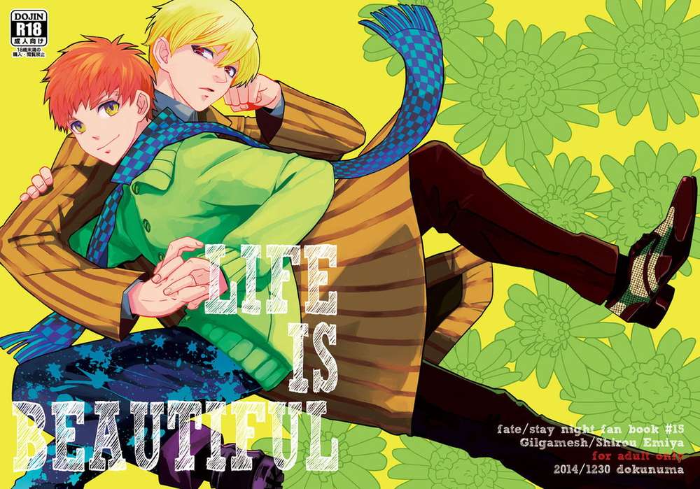 Fate-Series - Life Is Beautiful Fate Series
