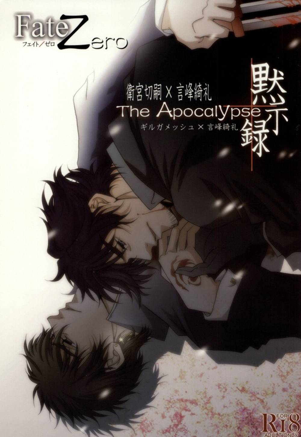 Fate-Series - The Apocalypse Revelation Fate Shirou Kotomine