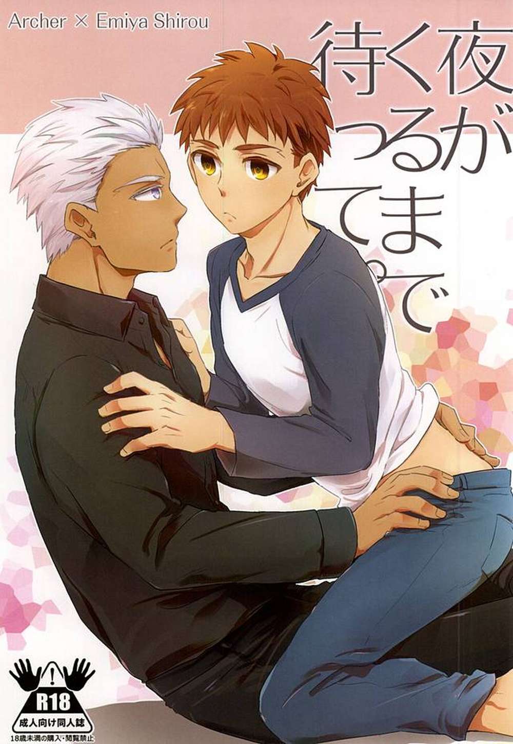 Fate-Series - Wait Until Night Fate Archer
