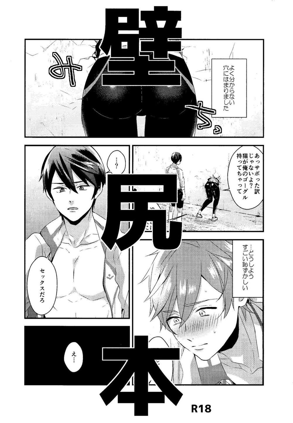 Free-Iwatobi-Swim-Club - Free Haruma Fanbook