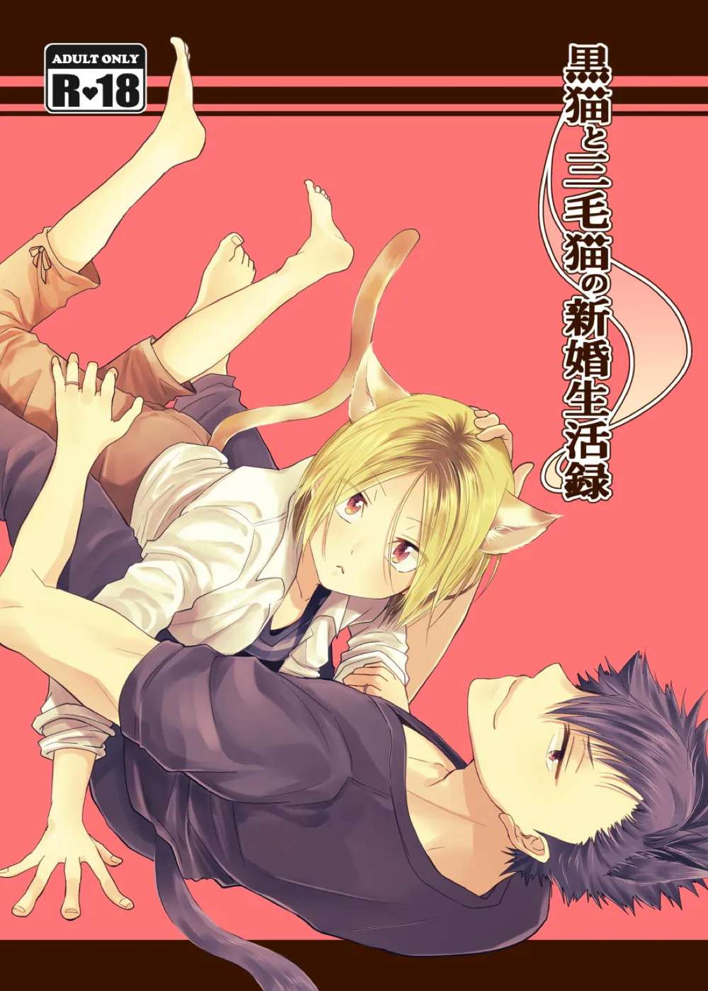 BL manga "Haikyu - Black Cat And Calico Cat Newlywed Life Record" cover image