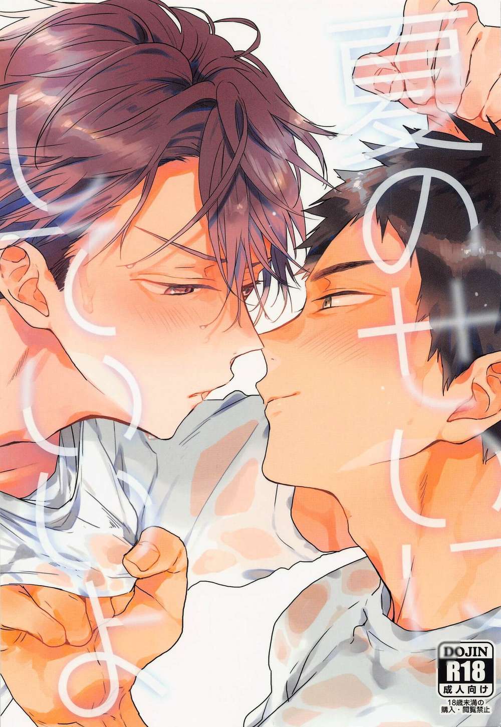 BL manga "Haikyu - Blame Summer Haikyuu Oikawa Iwaizumi" cover image