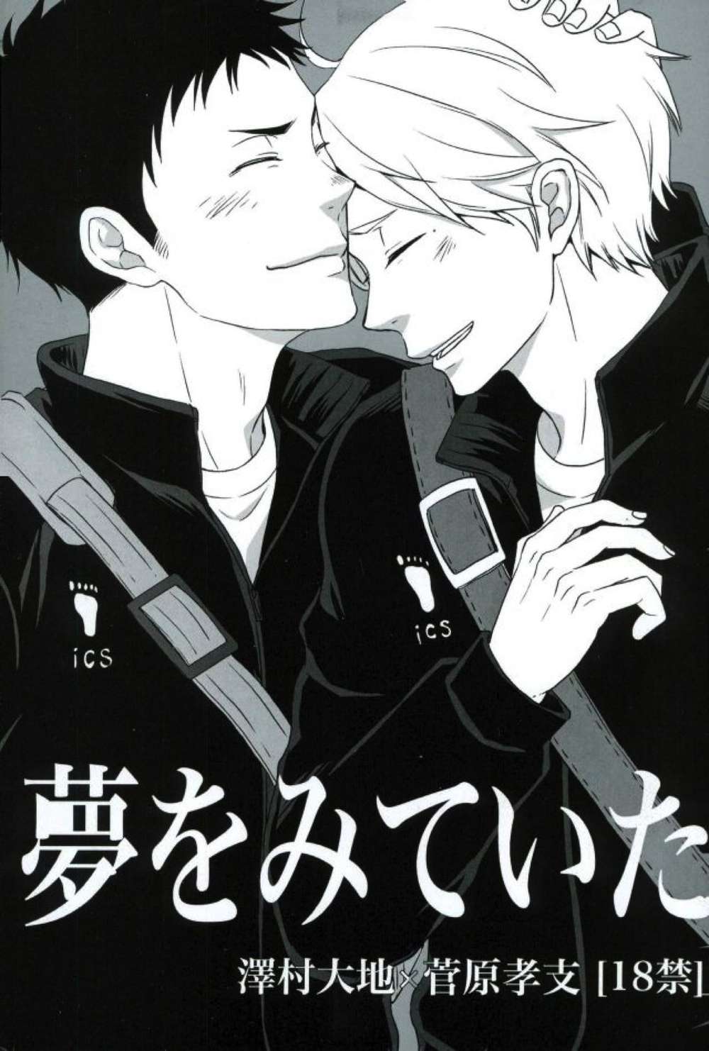 BL manga "Haikyu - Dreaming Haikyuu Osuga" cover image