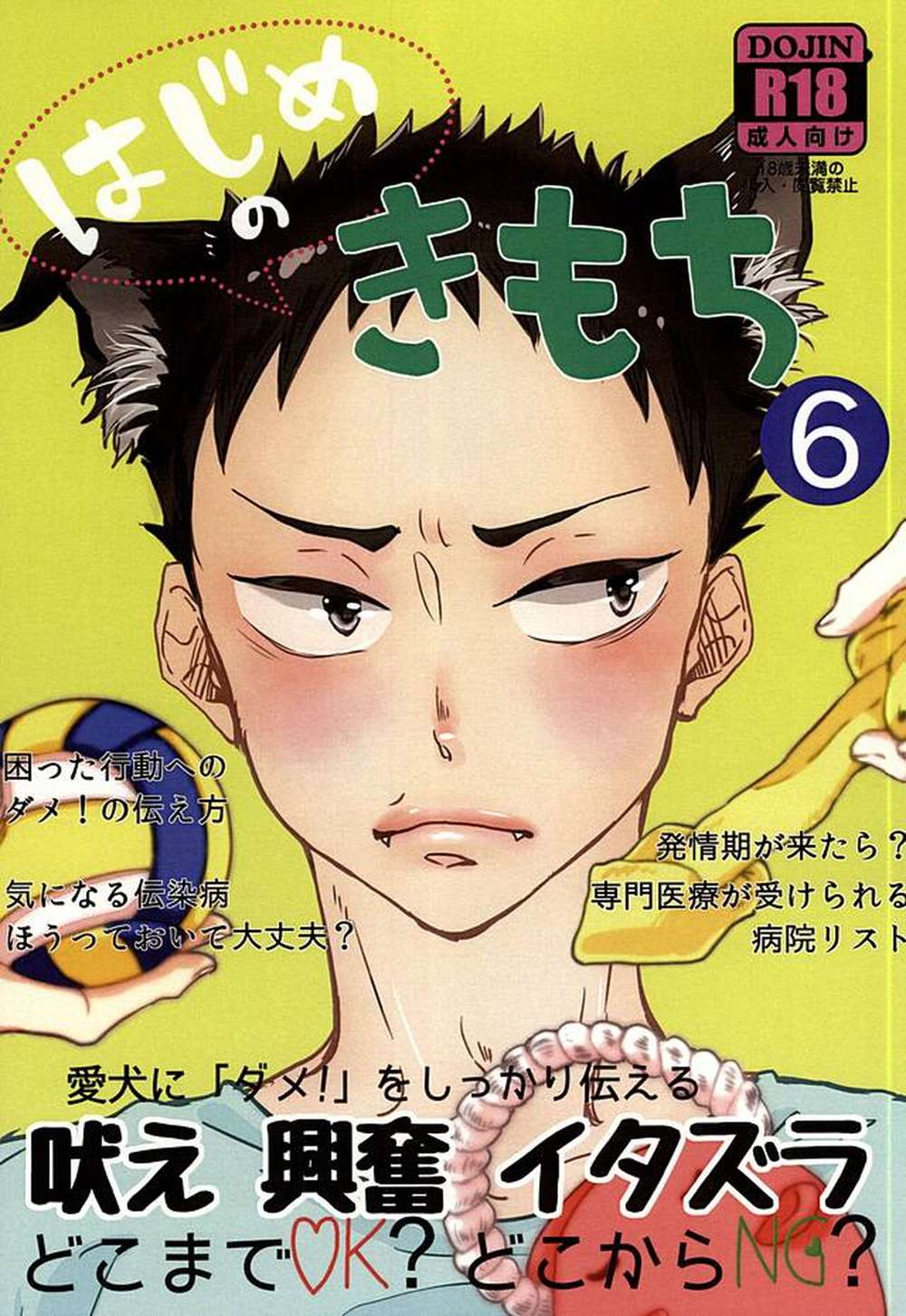 BL manga "Haikyu - First Feelings Haikyuu Iwao" cover image