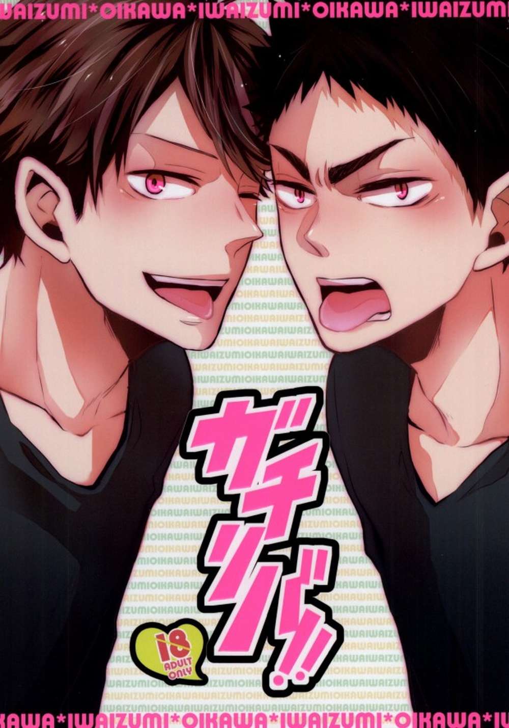 BL manga "Haikyu - Gachiriba Haikyuu Iwao" cover image