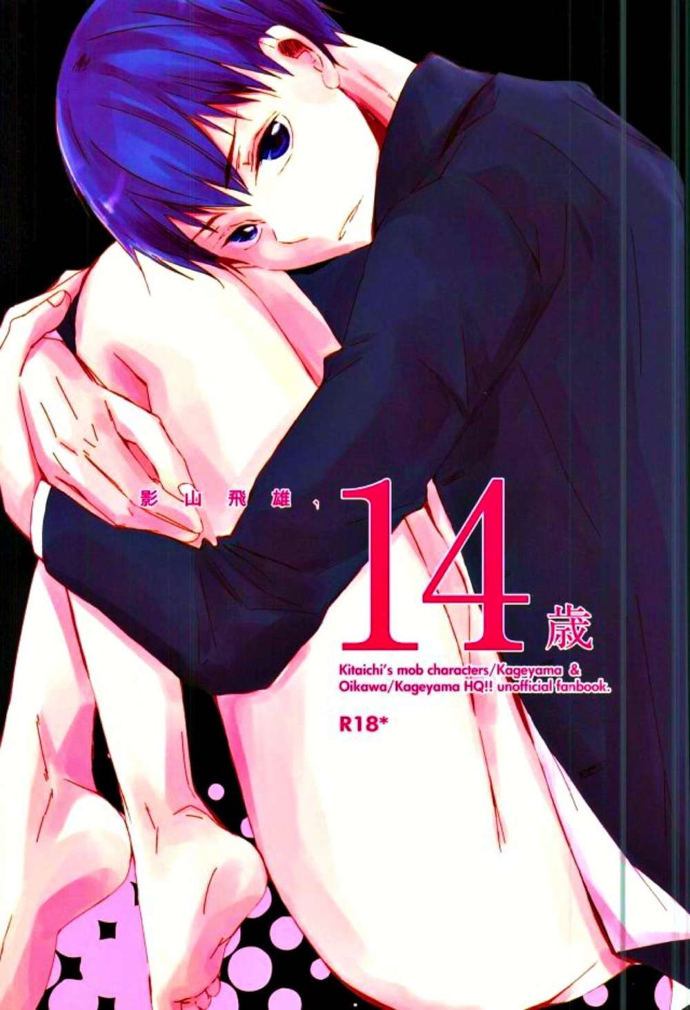 BL manga "Haikyu - Kageyama Tobio 14 Oikage" cover image