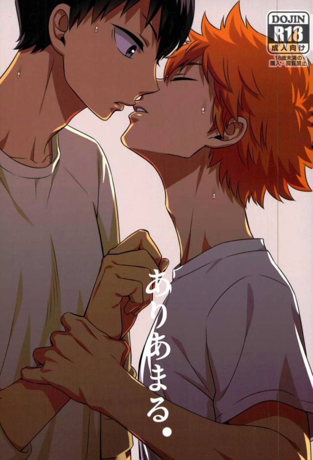 BL manga "Haikyu - Overflowing Haikyuu Hinatakage" cover image