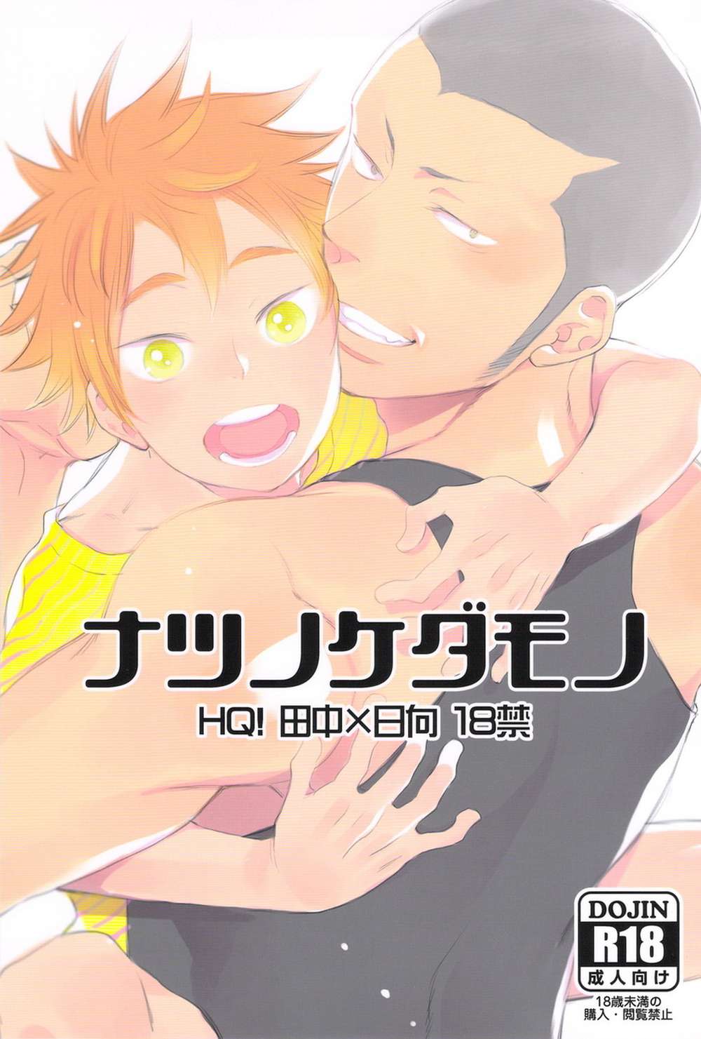 BL manga "Haikyu - Summer Beast" cover image