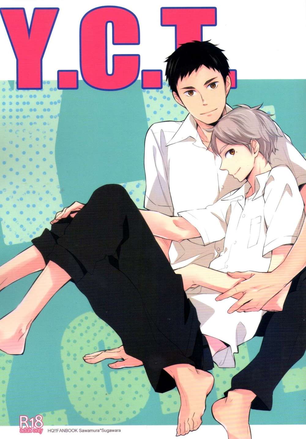 BL manga "Haikyu - Yct Haikyuu Oosuga" cover image