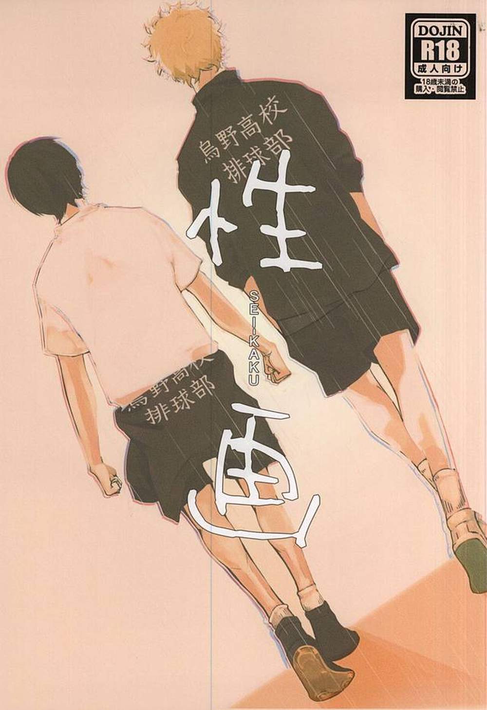 Haikyu - Haikyuu Moonshadow