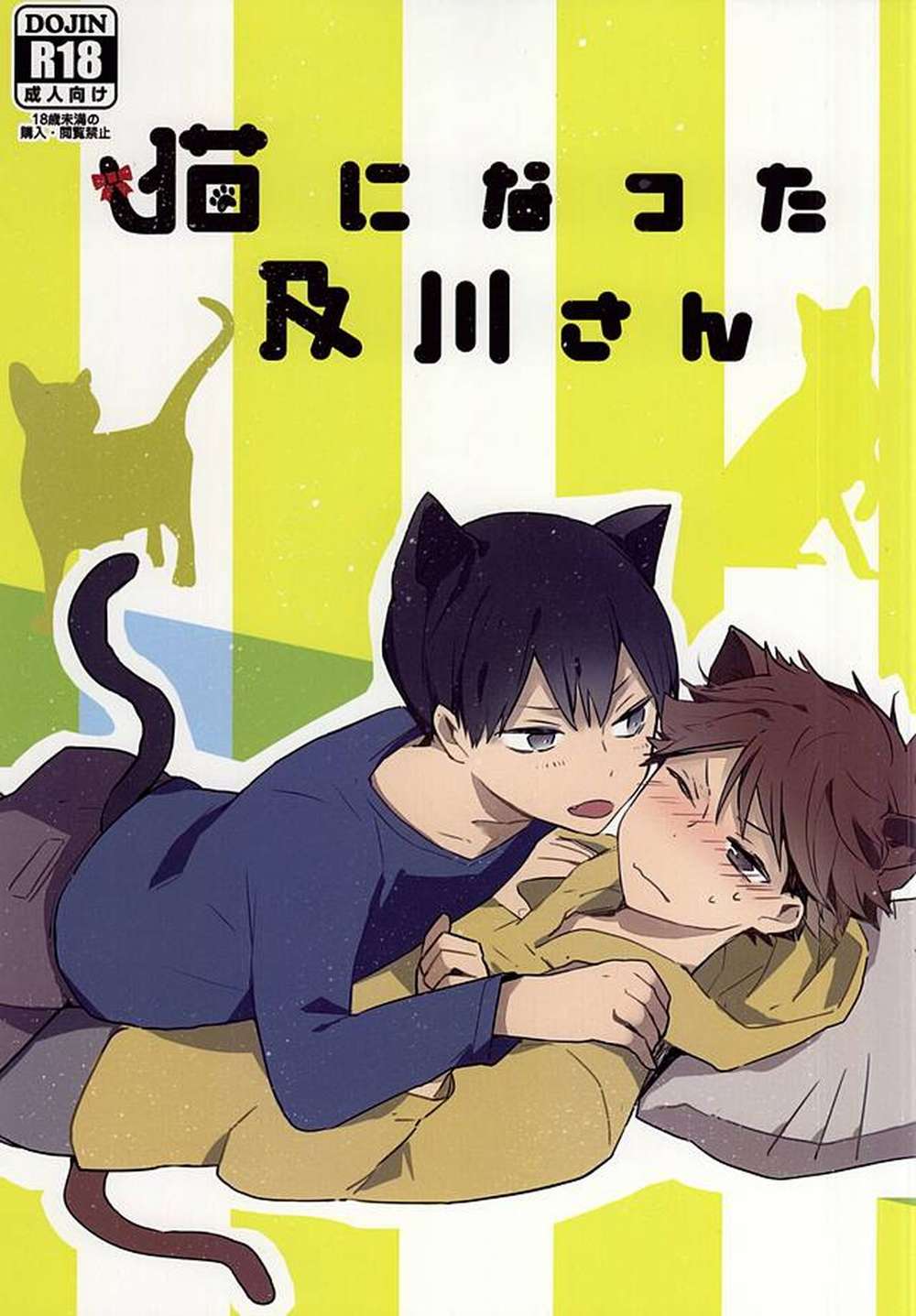 Haikyu - Oikawa Turns Into A Cat