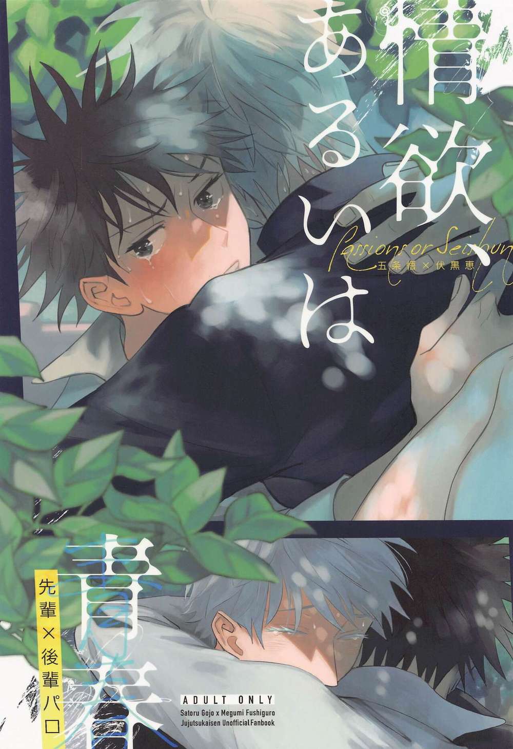 Jujutsu-Kaisen - Desire Or Youth