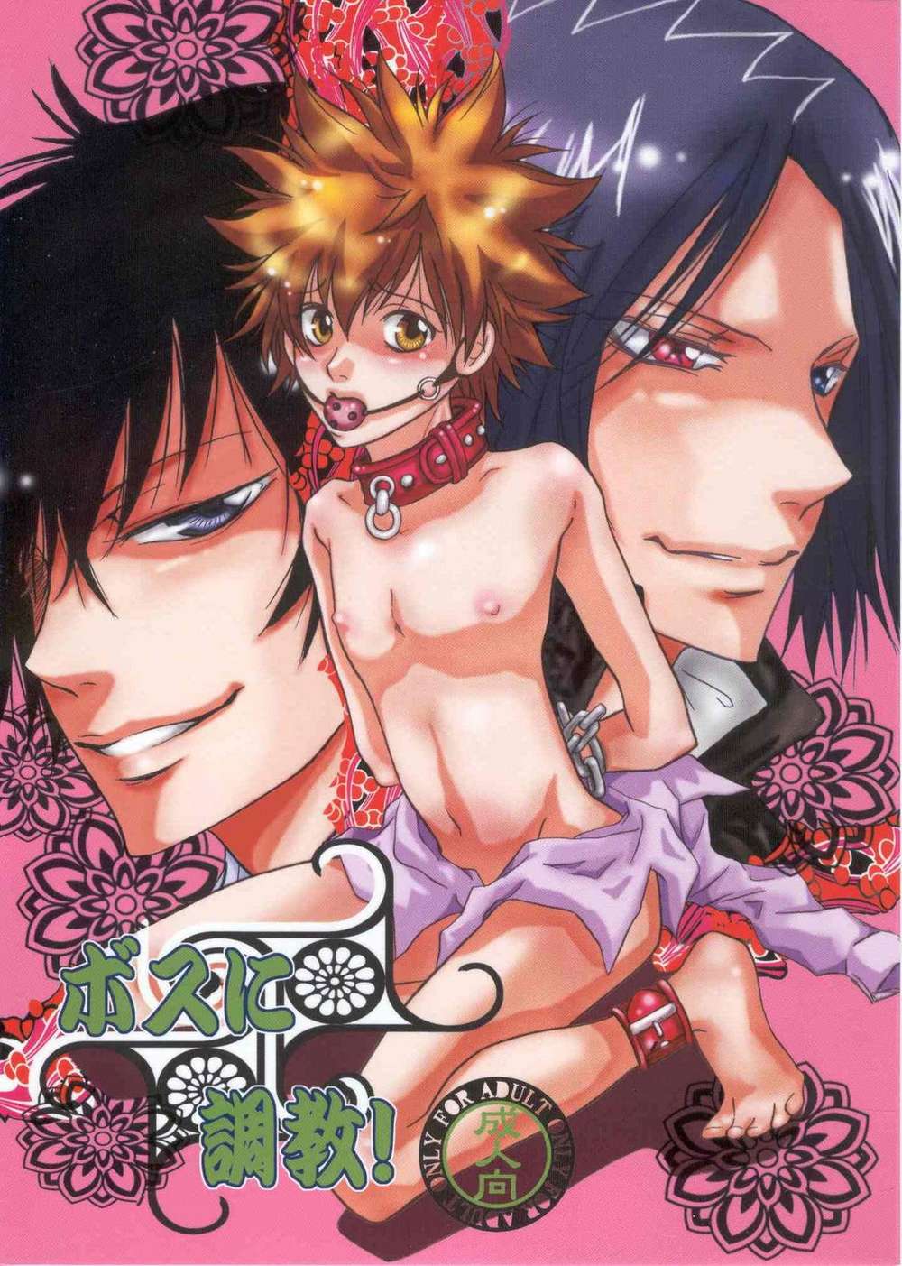 Katekyo-Hitman-Reborn - Taming The Boss