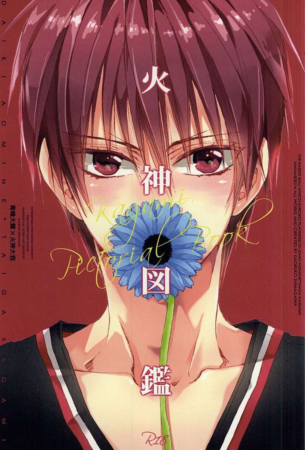 Kurokos-Basketball - Kagami Encyclopedia Blue Fire