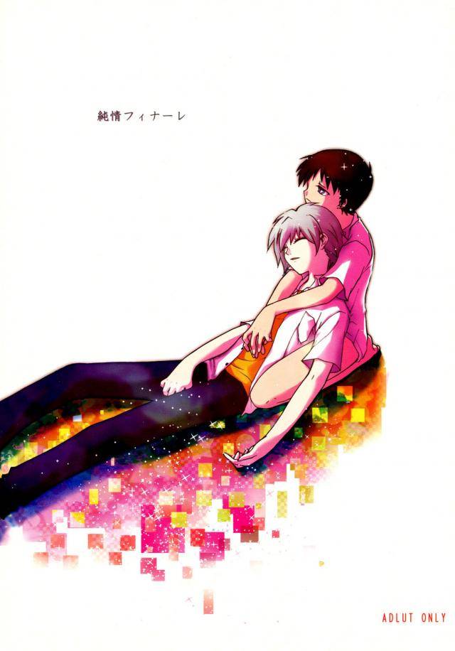 Neon-Genesis-Evangelion - Pure Heart Finale
