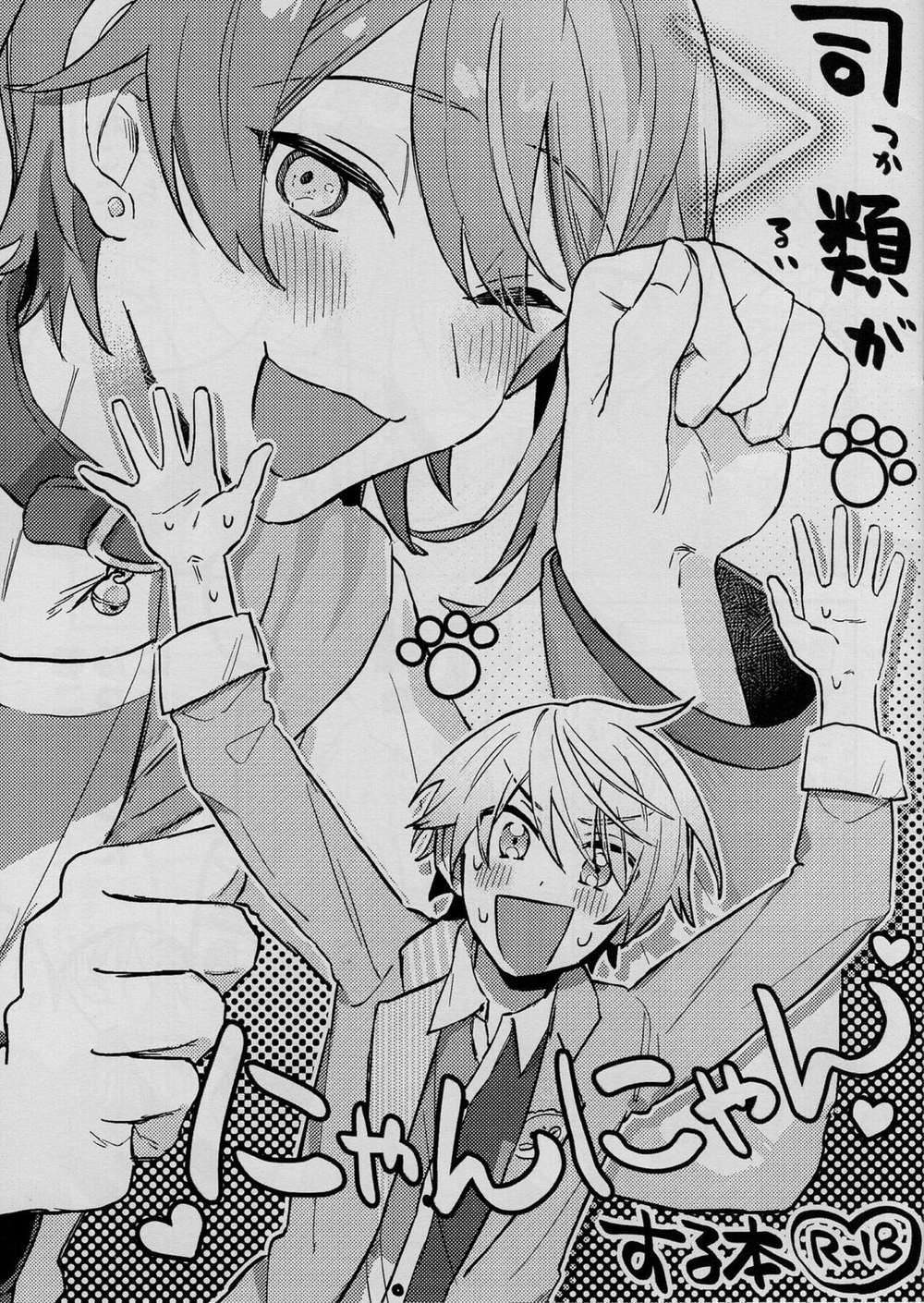 Project-Sekai - Shirui Meows Book