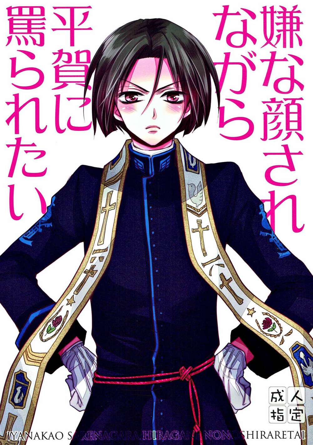 The-Vatican-Miracle-Examiner - Vatican Miracle Examiner Fanwork
